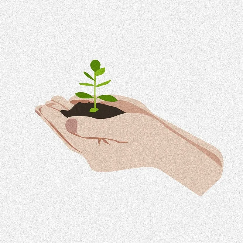 Soil law