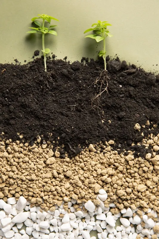 soil law