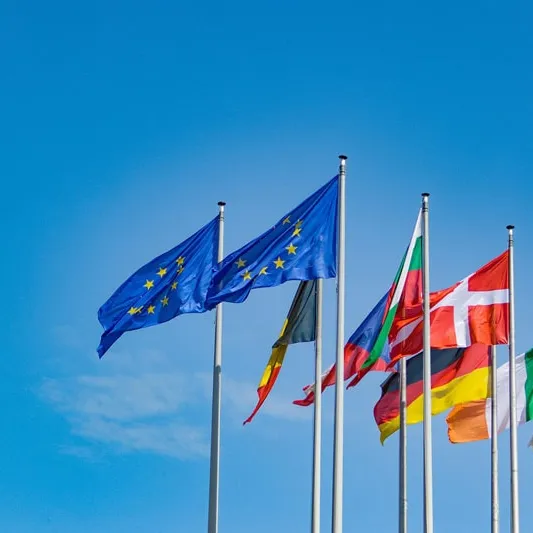 European Flag