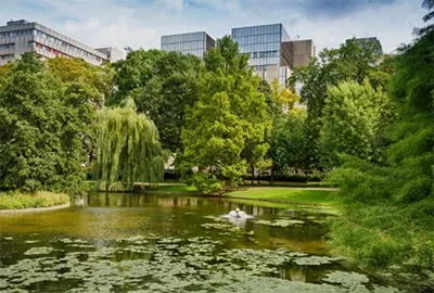 Green real estate
