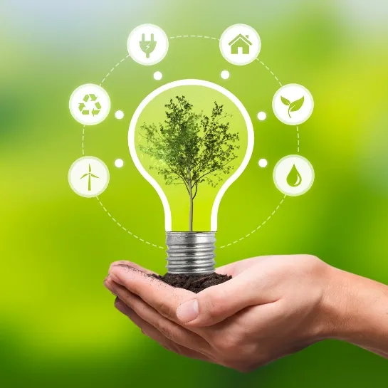 Ecosystem services