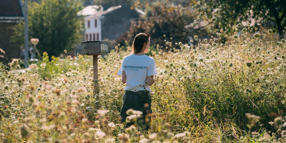 A BeeOdiversity field expert in a flowering meadow beside a monitoring hive, with a housing development behind.