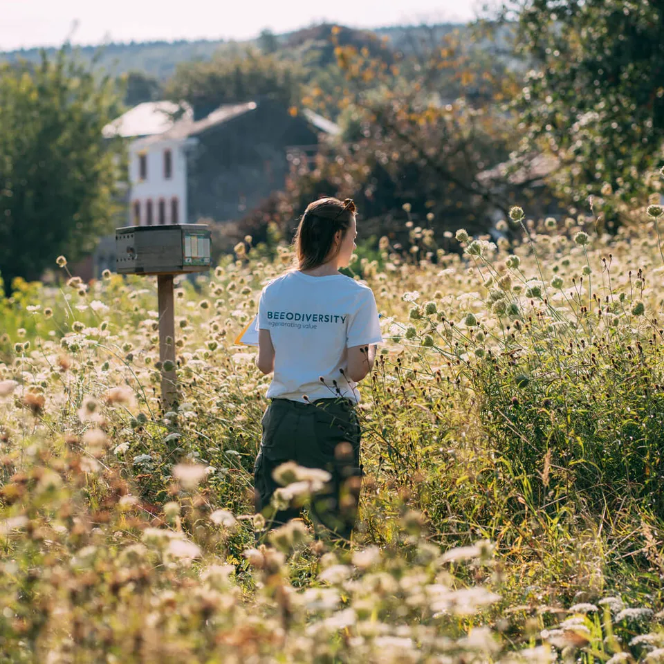 Immobilier : Comment booster votre score BREEAM grâce à la biodiversité ? Préparez-vous à la version 7 de BREEAM