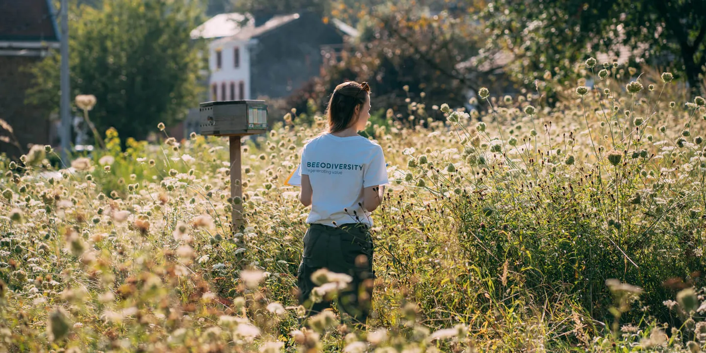 Immobilier : Comment booster votre score BREEAM grâce à la biodiversité ? Préparez-vous à la version 7 de BREEAM