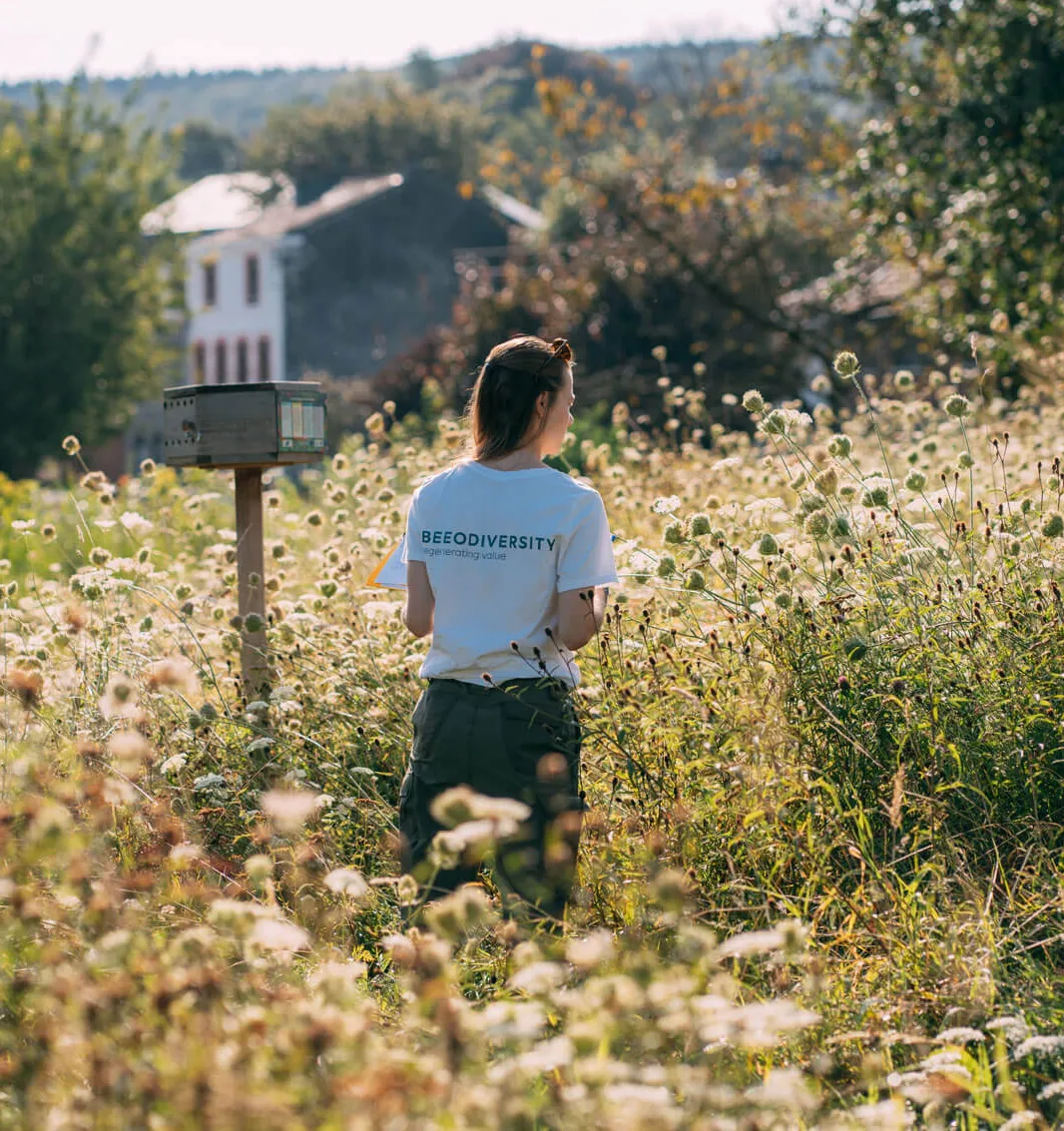 A BeeOdiversity field expert in a flowering meadow beside a monitoring hive, with a housing development behind.