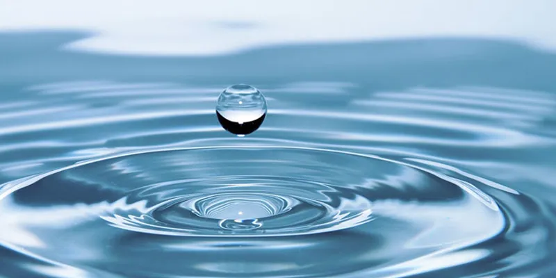 Comment le BeeOmonitoring aide les producteurs d'eau minérale à protéger leur précieuse ressource