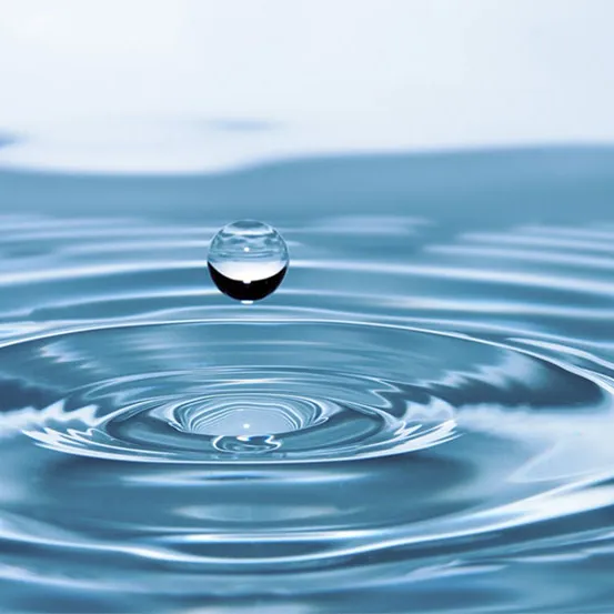 How bottled water producers can protect their most precious resource with BeeOmonitoring