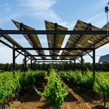 biodiversité photovoltaiques