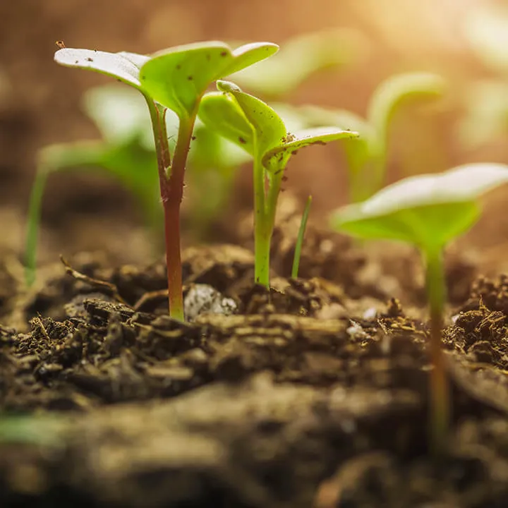 Biodiversity is vital