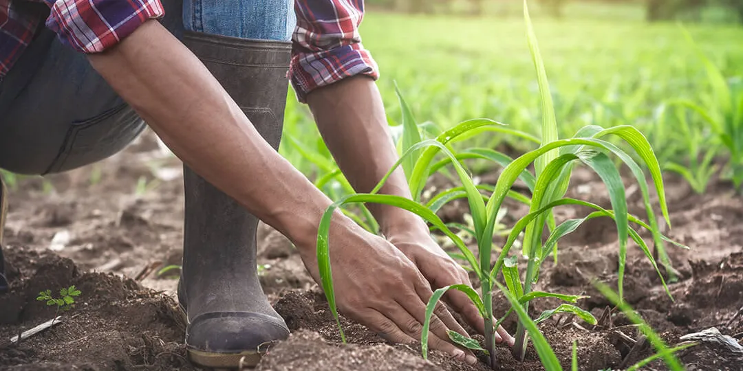 La biodiversité est menacée