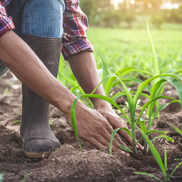 La biodiversité est menacée