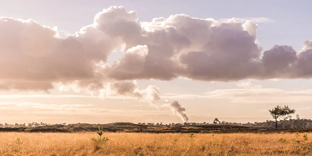 La pollution, un mal actuel