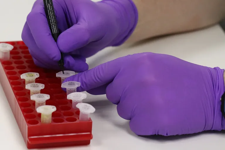 Gloved hands label sample tubes in a laboratory rack