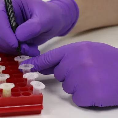 Gloved hands label sample tubes in a laboratory rack