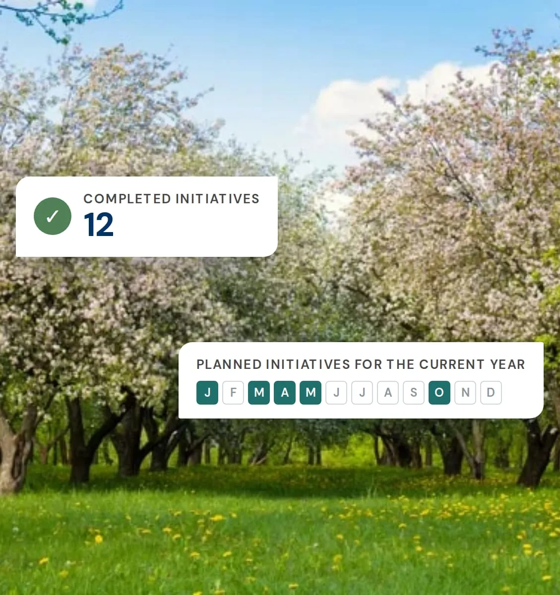 A blossoming orchard, with the BeeOinitiative count of completed initiatives and its planner for the current year