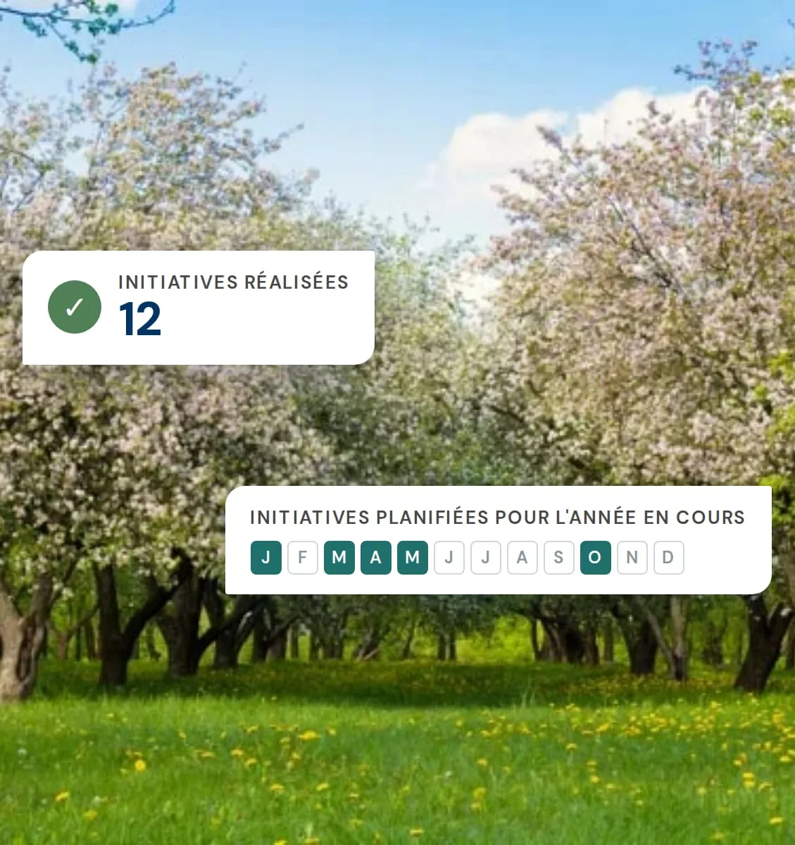 Un verger en fleurs, avec le nombre d’initiatives réalisées et le planning de l’année en cours dans BeeOinitiative