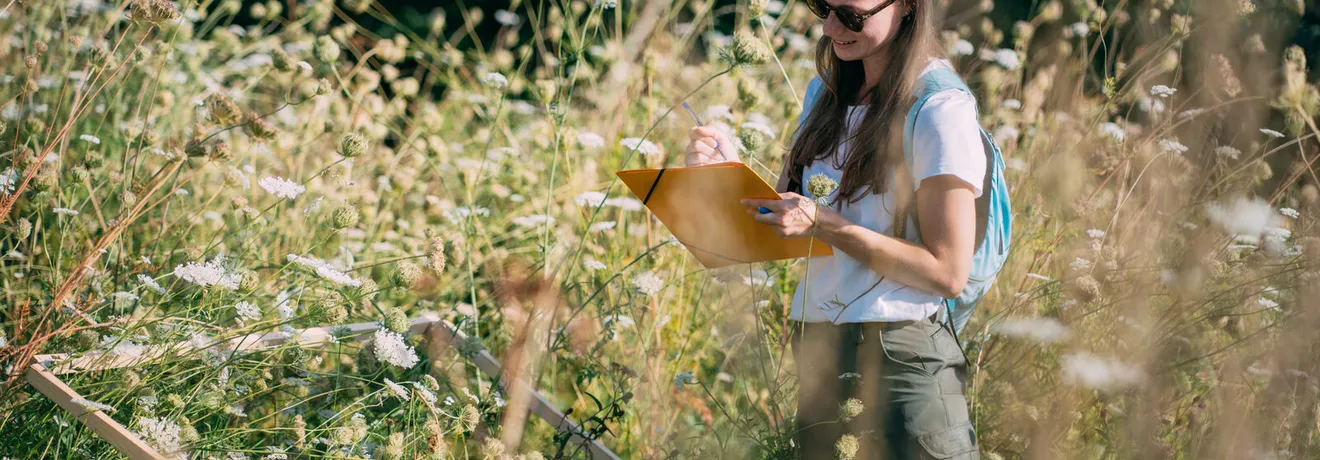 An ecologist records species on a clipboard in a meadow of wild carrot and scabious