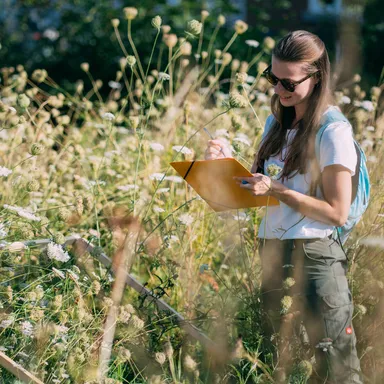 An ecologist records species on a clipboard in a meadow of wild carrot and scabious