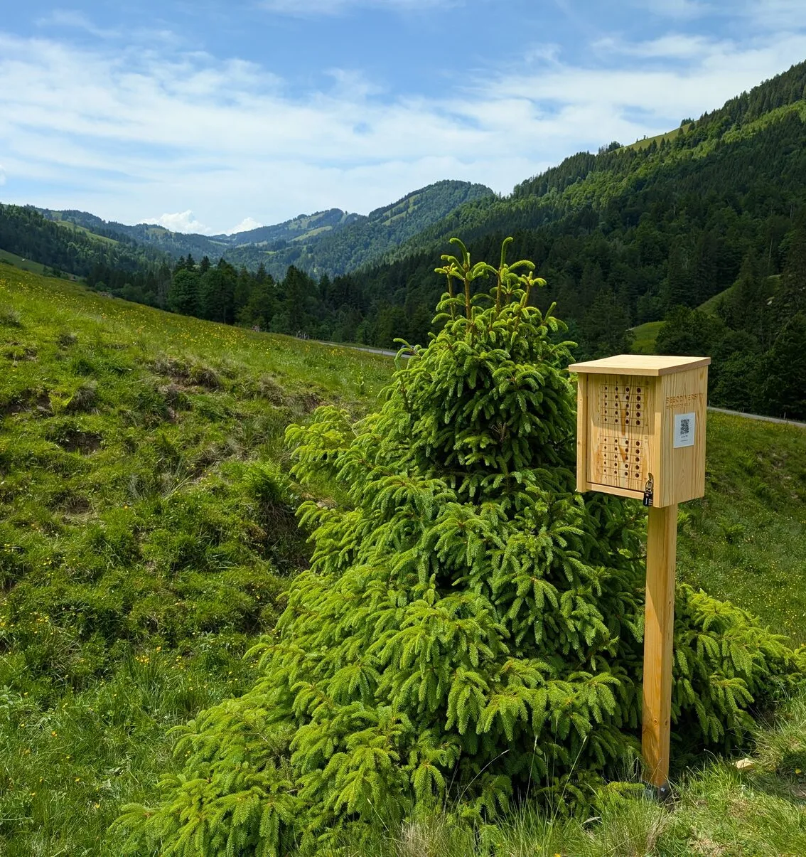 A wooden wild-bee nest box on a post, on a grassy mountain slope