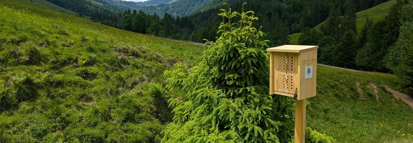 A wooden wild-bee nest box on a post, on a grassy mountain slope