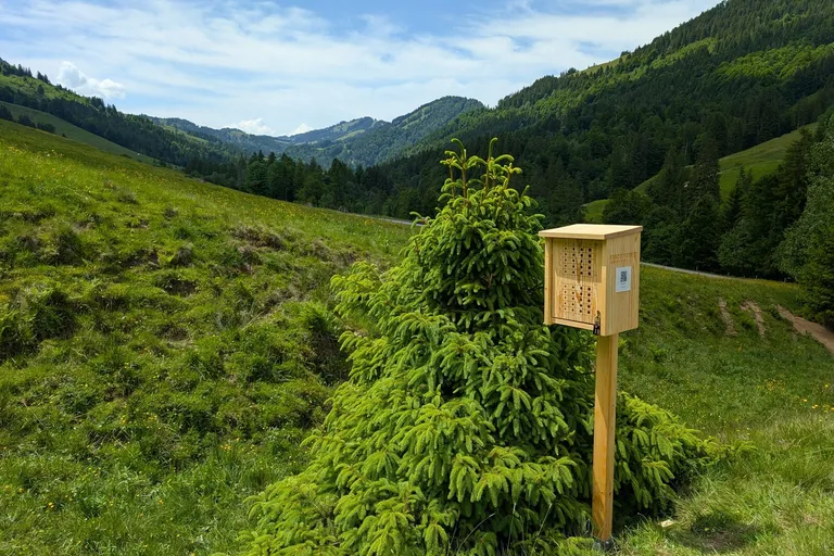 A wooden wild-bee nest box on a post, on a grassy mountain slope