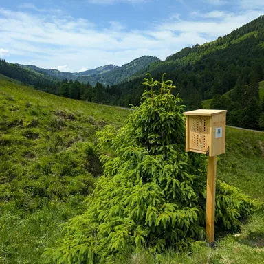 A wooden wild-bee nest box on a post, on a grassy mountain slope