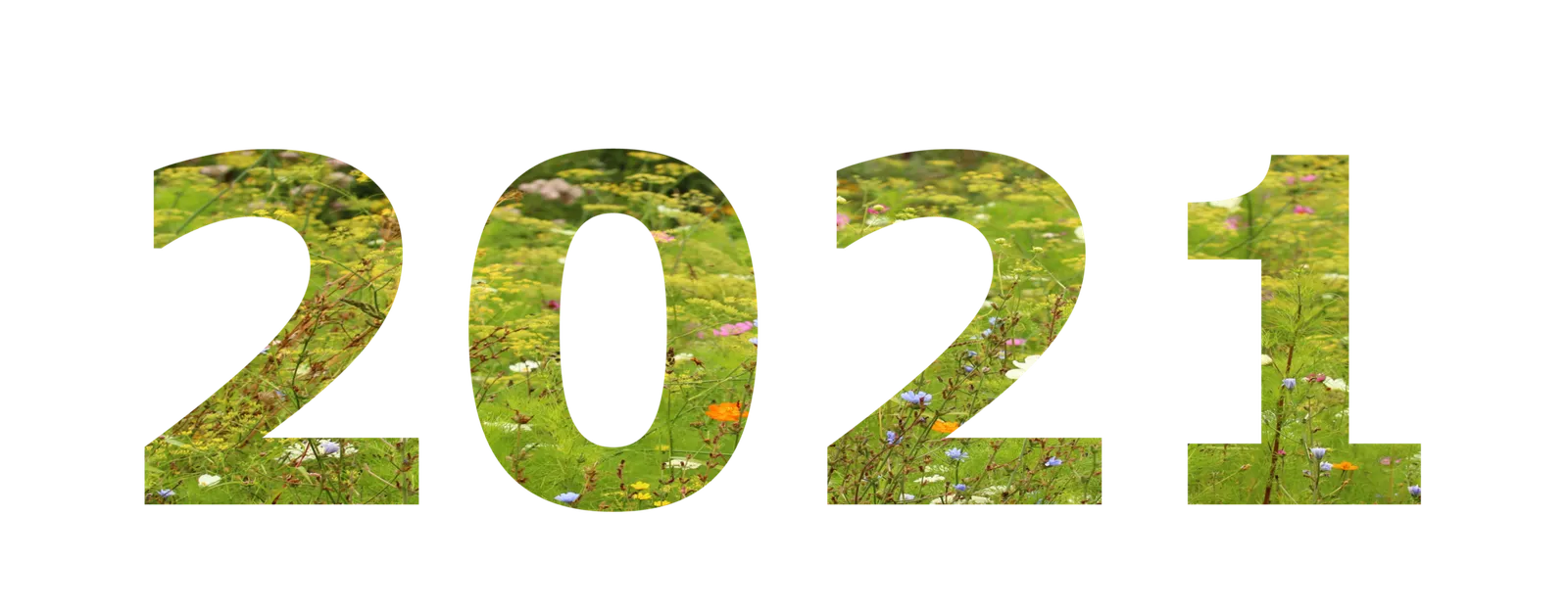 biodiversité photovoltaiques