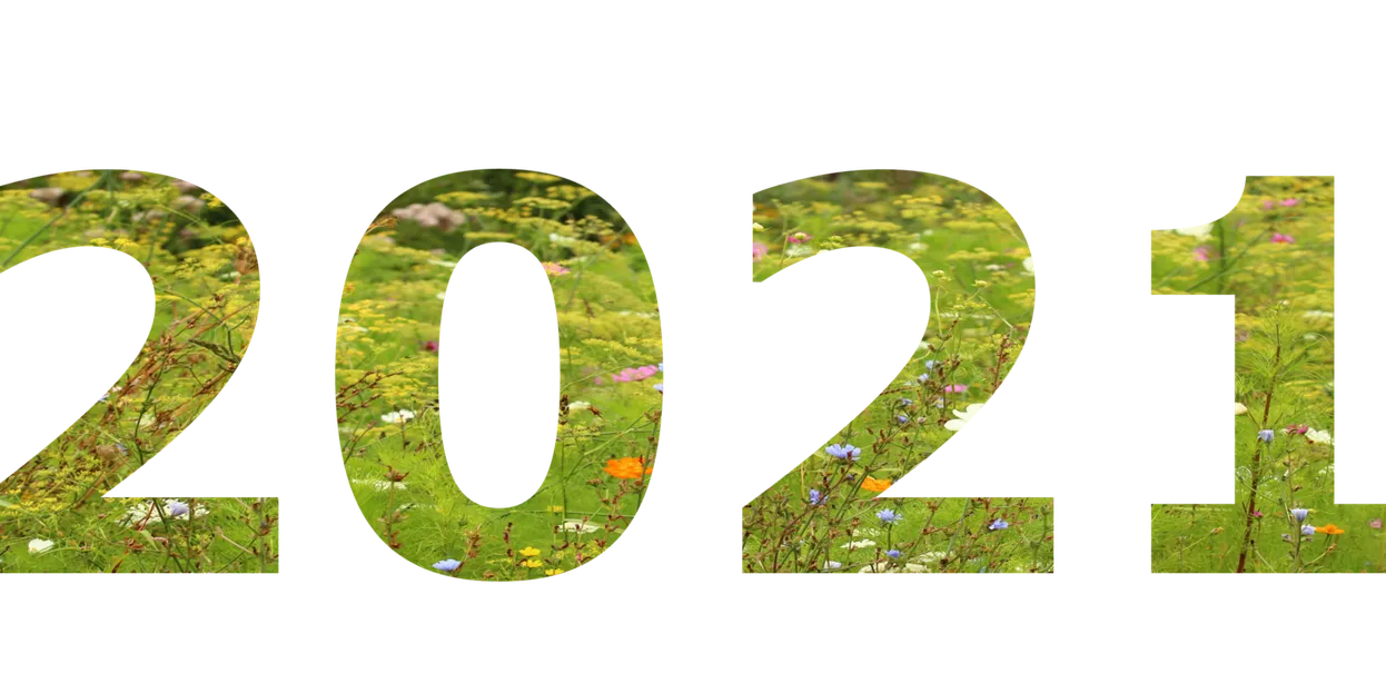 BeeOdiversity : la biosurveillance en 2021