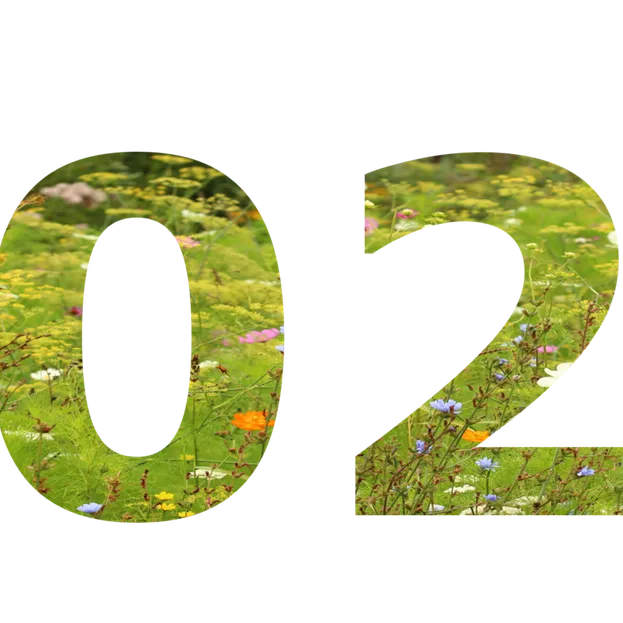 BeeOdiversity : la biosurveillance en 2021
