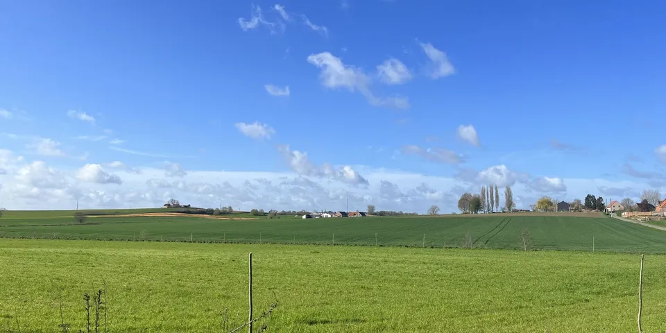 Open green farmland under a wide blue sky, with a line of poplars and farm buildings on the horizon.