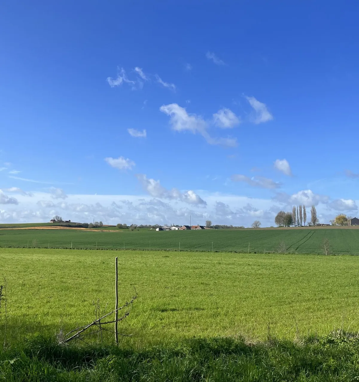 Open groene landbouwgrond onder een wijde blauwe lucht, met een rij populieren en boerderijgebouwen aan de horizon.