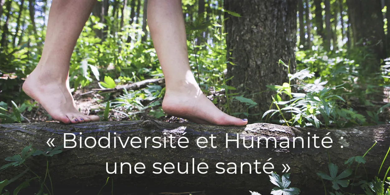 colloque « Biodiversité et Humanité : une seule santé ».