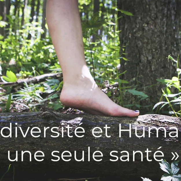 colloque « Biodiversité et Humanité : une seule santé ».
