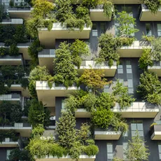 biodiversité immobilier