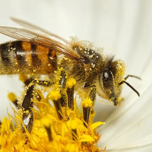 IPBES Business & Biodiversity Report 2026: 4 Key Findings