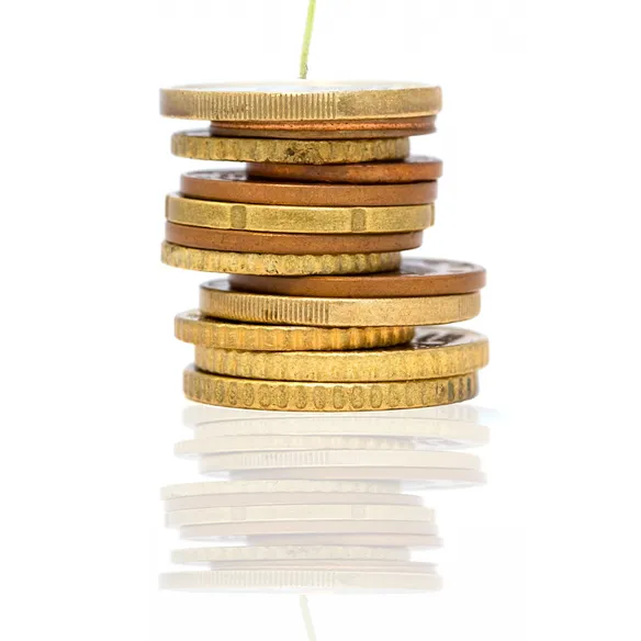 Biodiversity for investors