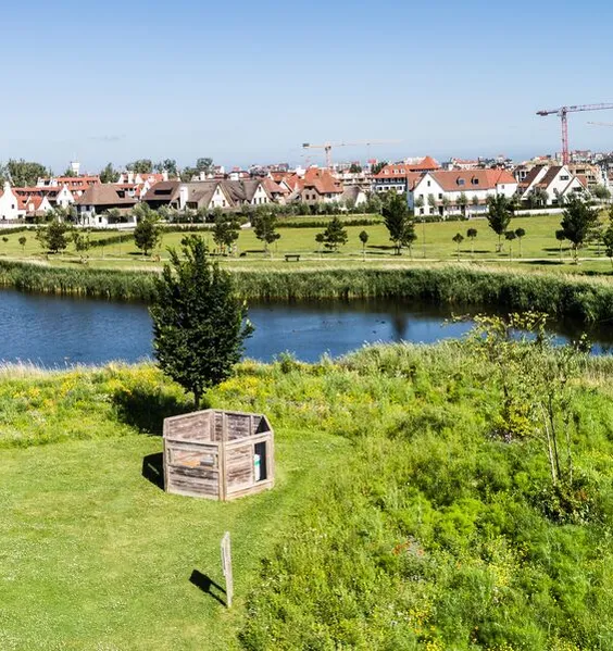 A pond and wildflower banks in a new residential district, with houses and cranes on the skyline.