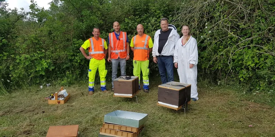 Three site workers in high-visibility vests stand with two beekeepers beside newly installed hives in a mown clearing.