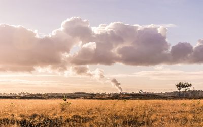 Pollution, a modern-day evil