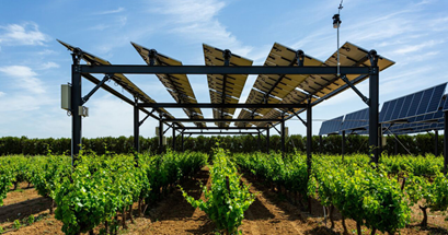 biodiversité photovoltaiques