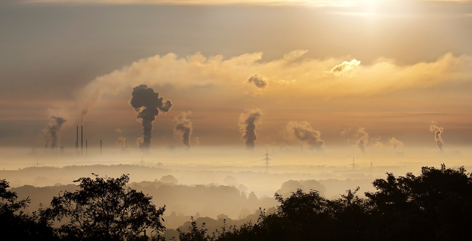 biodiversité photovoltaiques