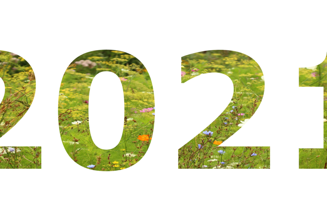 BeeOdiversity : biomonitoring 2021