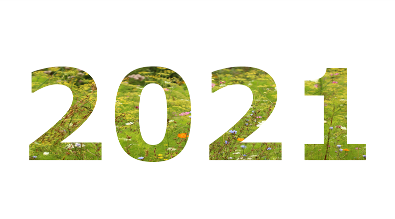 BeeOdiversity : biomonitoring 2021
