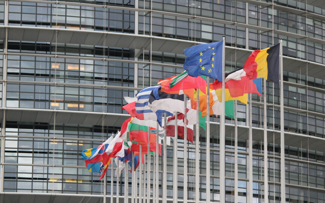 New European standards for corporate sustainability declarations.