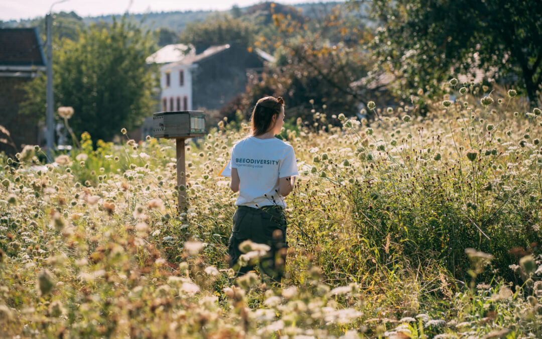 Immobilier : Comment booster votre score BREEAM grâce à la biodiversité ? Préparez-vous à la version 7 de BREEAM