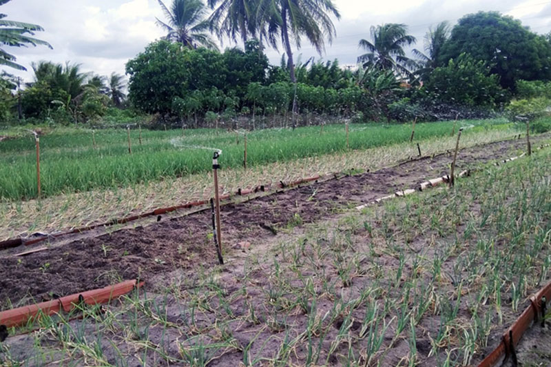 Beeodiversity-mesure de la pollution