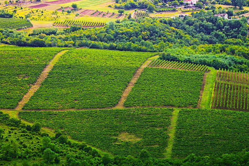 Beeodiversity-mesure de la pollution